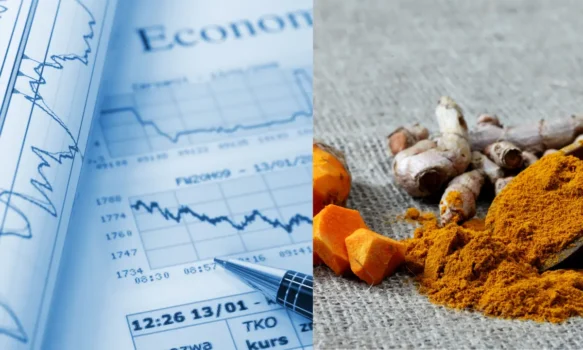 The Economic Importance of Turmeric in Agriculture in Pakistan