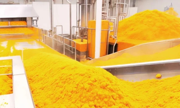 turmeric market