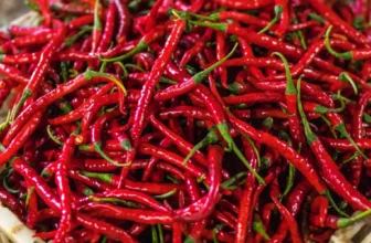 The History and Origin of Red Chili: A Comprehensive Journey