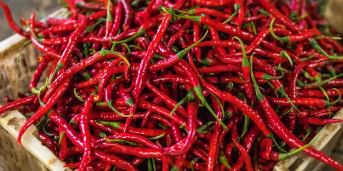 The History and Origin of Red Chili: A Comprehensive Journey