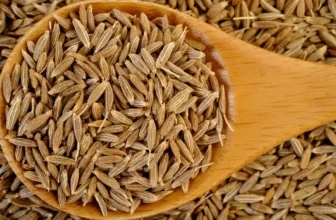Fresh cumin