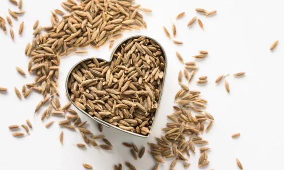 cumin varieties