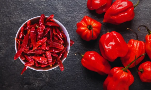 Tips for selecting fresh red chilli