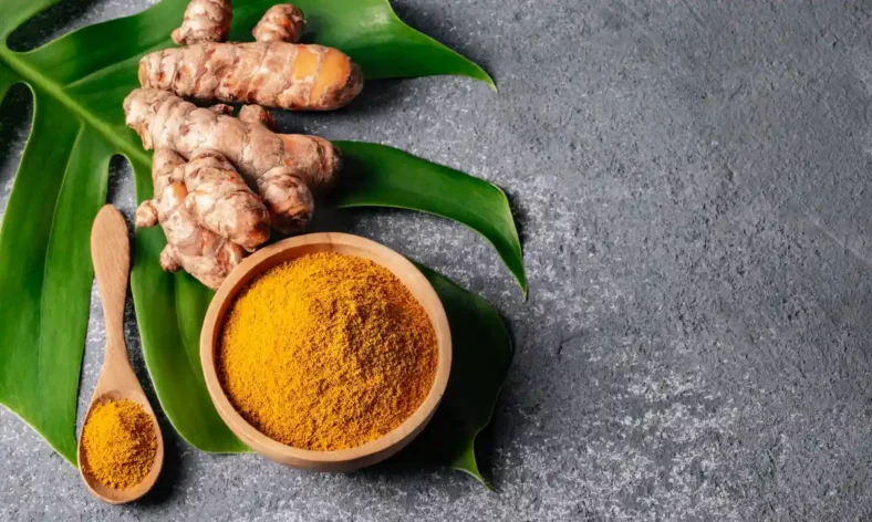 Tips and Best Practices for Harvesting Turmeric