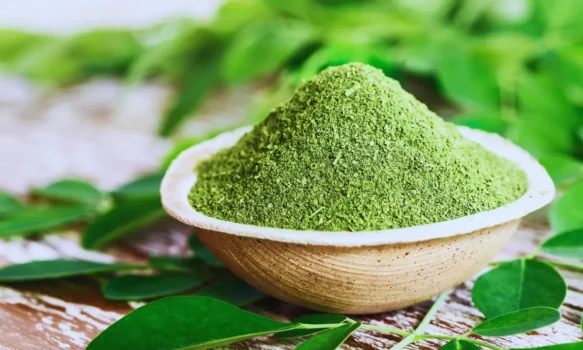 Moringa Benefits
