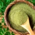 Recent Studies on Moringa: A Comprehensive Overview